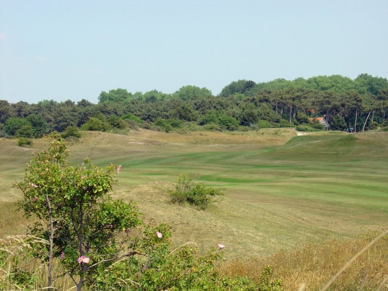 Dogleg fairway on the genuine Royal Zoute Golf Club links course, Knokke-Heist, Belgium